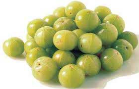 Fresh Amla