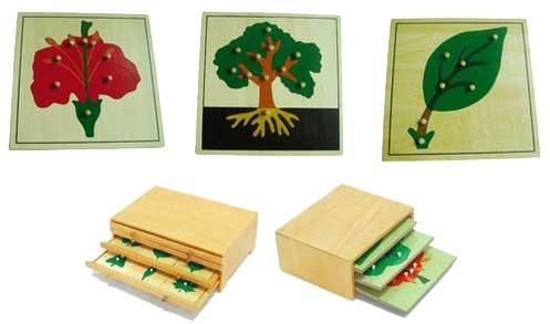 Montessori Botany Puzzles