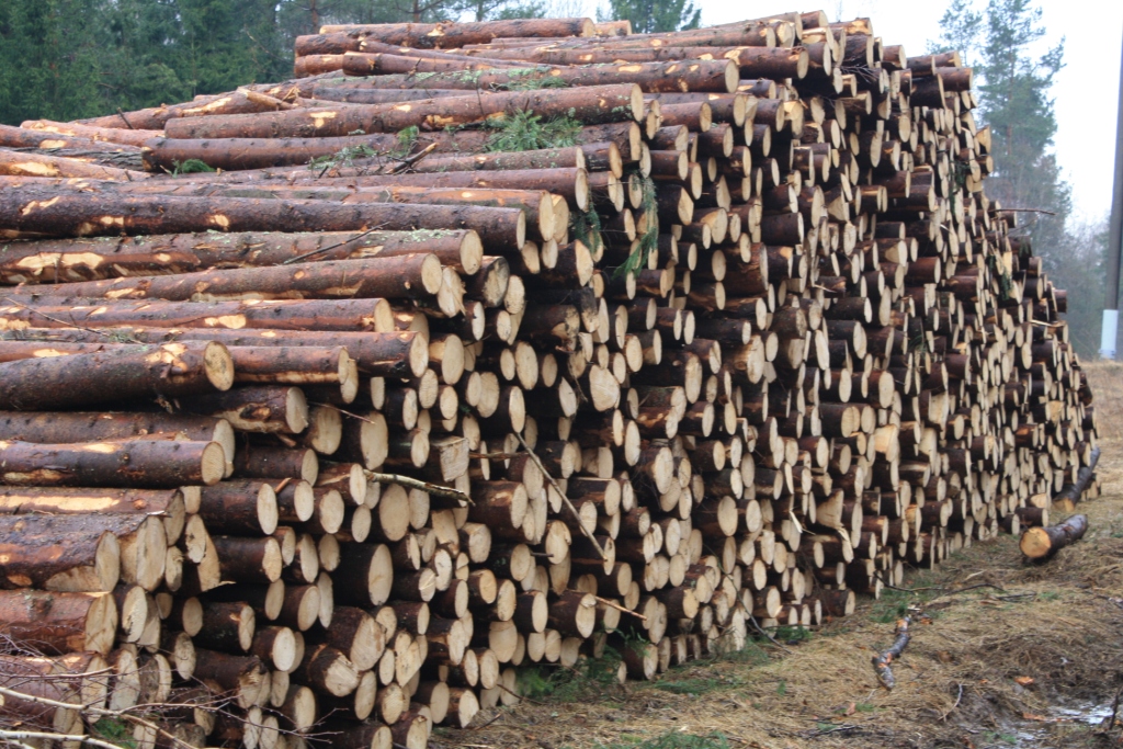 Pulp log Manufacturer & Exporters from, Canada ID 265513