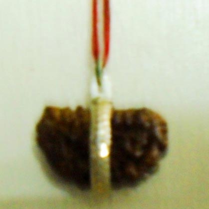 1 Mukhi Rudraksha Pendant