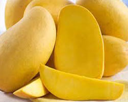 NAWAB Dasheri Mango