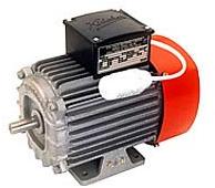 Electric Motor (220 Volts)