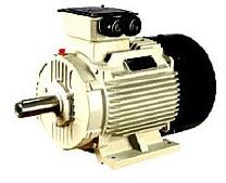 Electric Motor (415 Volts)