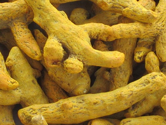 Turmeric