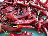 Dried Chillies