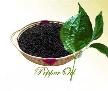 Black Pepper Oil
