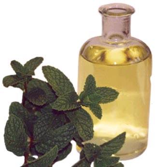 peppermint oil