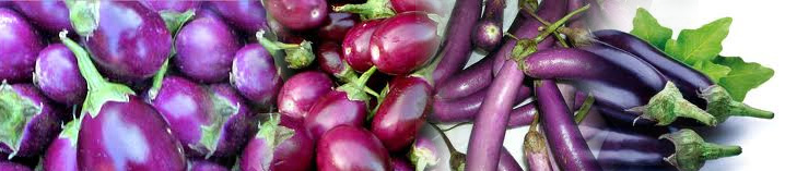 Brinjal