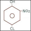 4 Chloro 2 Nitro Phenol