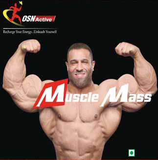Muscle Mass Supplements
