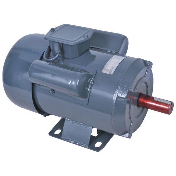 induction motor