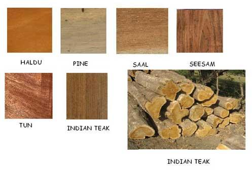 Indian Timber by M/s New Wood Craft, Indian Timber from Nainital