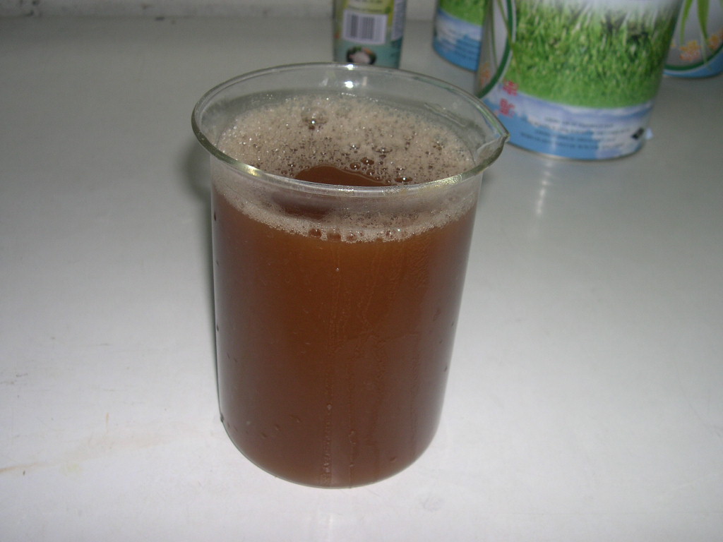 Tamarind Juice Concentrate