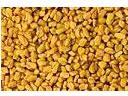 fenugreek seed