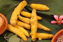 turmeric