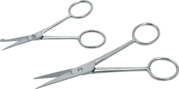 Dissecting Open Shank