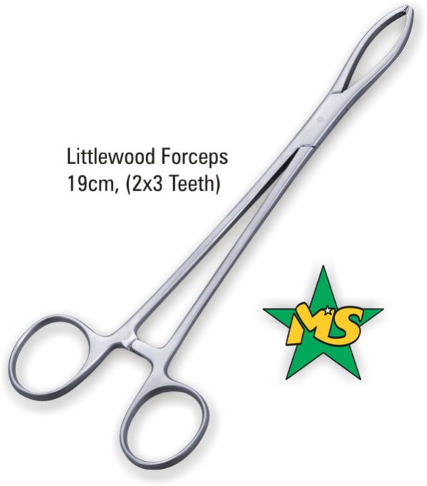Littlewood Forceps 19cm 2x3 Teeth