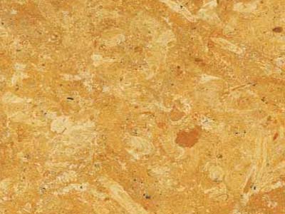 Flora Gold Sandstone