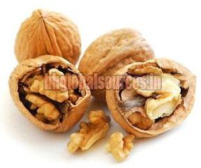 Walnut, Style : Dried