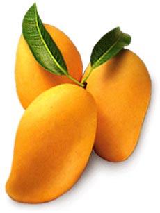 fresh mango