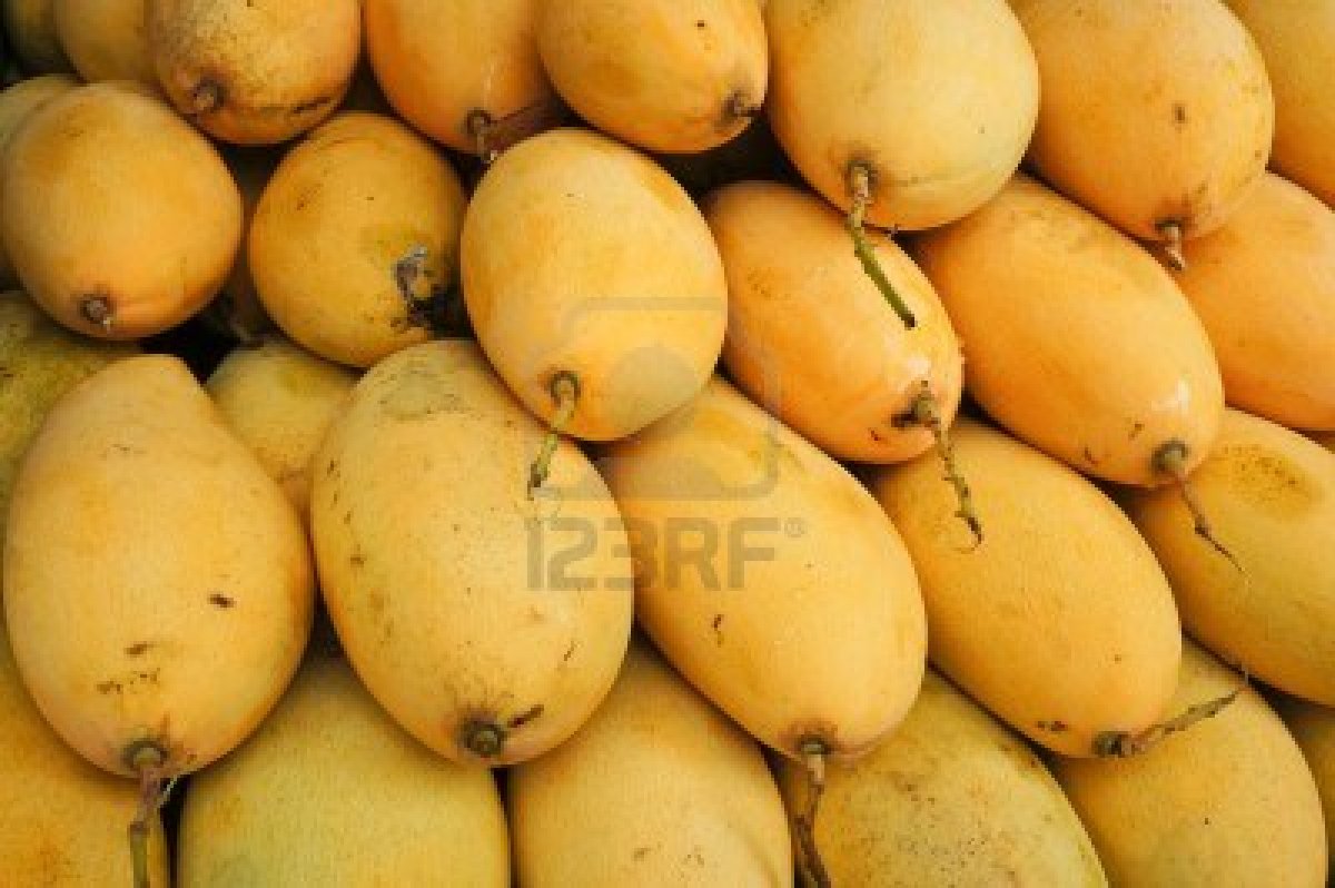 fresh mango