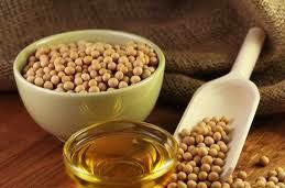Soybean Seeds Oil