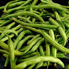 Organic Fresh Bean, Feature : Non Harmful