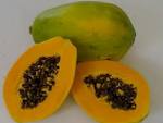 papaya