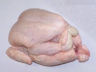 Halal Whole Chicken