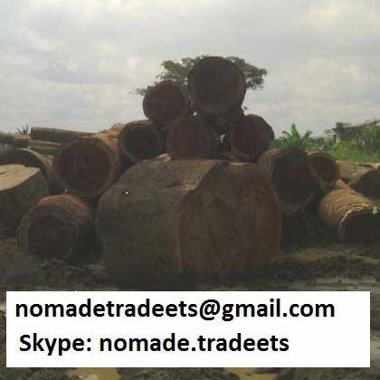 Sapelli Logs