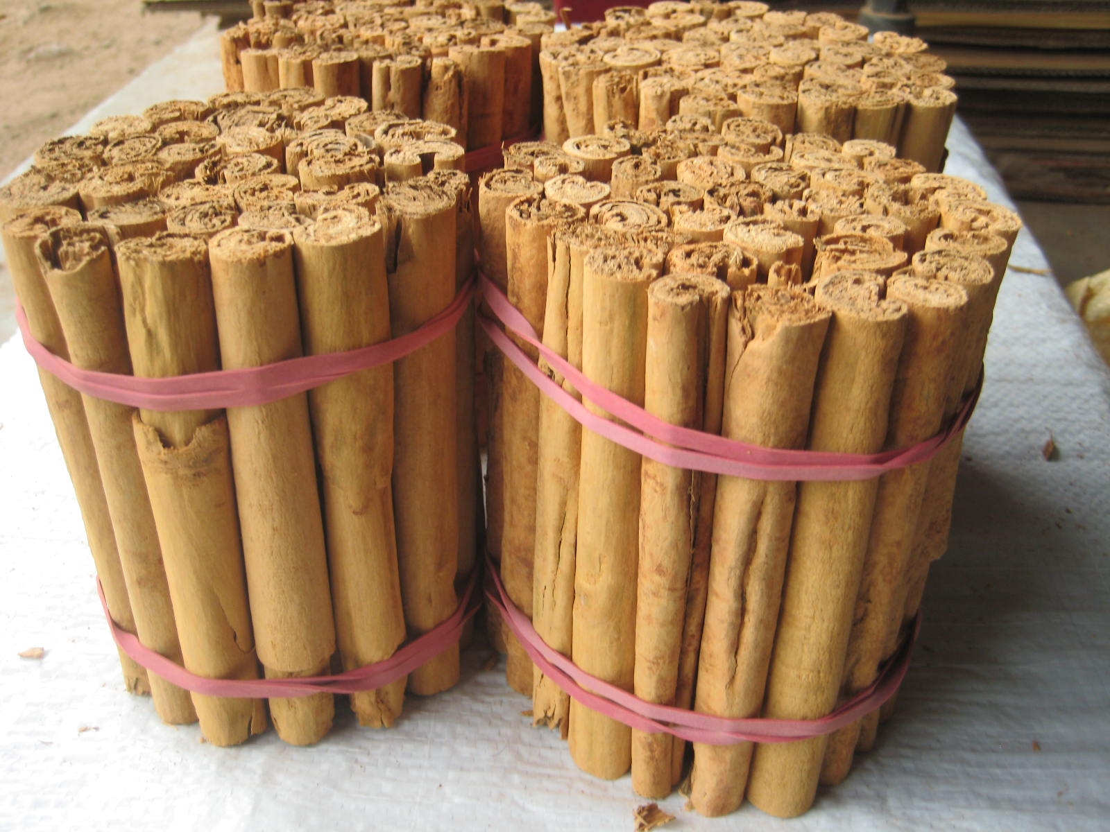Ceylon Cinnamon Manufacturer by Deshapriya Spice Sri Lanka