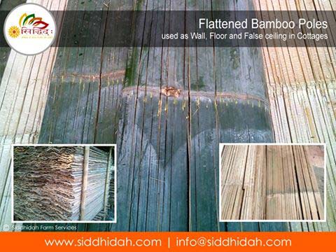 Flattened Bamboo