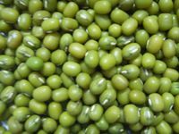 green mung beans