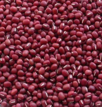 Small Red Beans (2010 Crop)