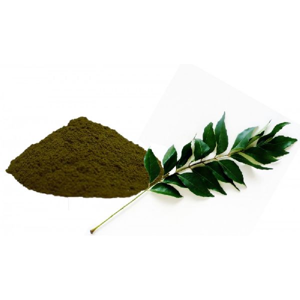 curry leaf powder