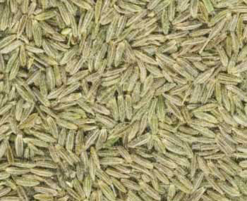 Cumin seeds