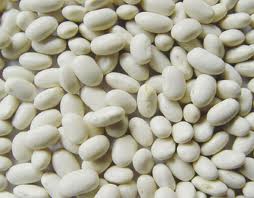 Beans Extract - Phaseolus Vulgaris