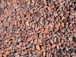 Cocoa Seed Extract