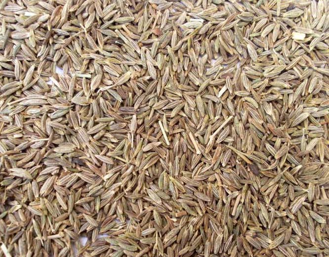 Cumin seeds