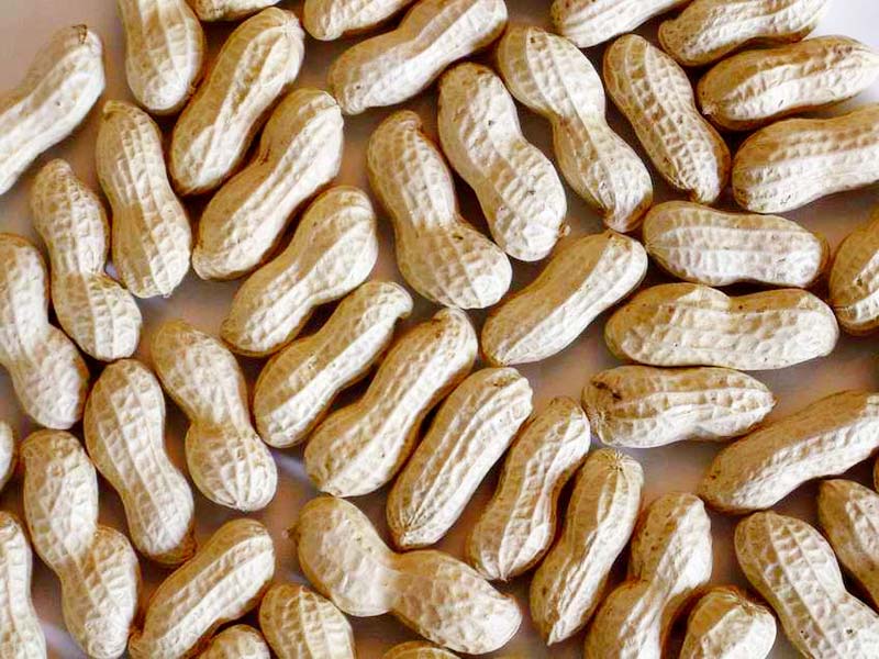 groundnuts