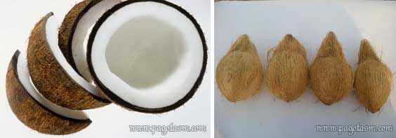 750-950 Gm Semi Husked Coconut