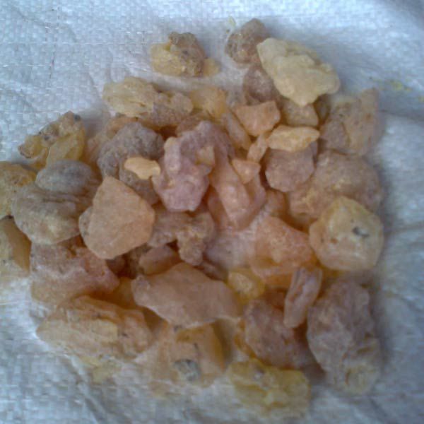 Gum Copal