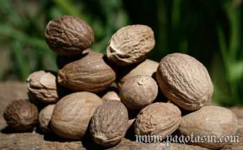 Shrivel Grade Nutmeg