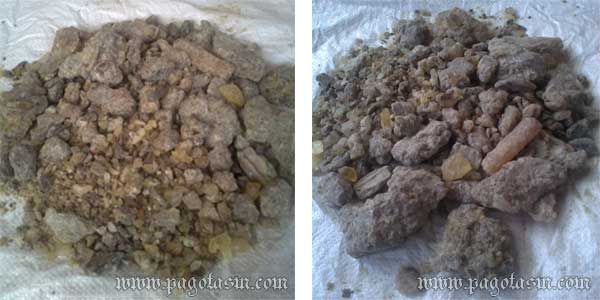 WS Grade Gum Copal