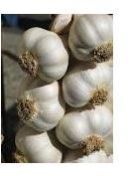 Garlic, Garlic Flakes, Garlic Powder, Garlic Seeds