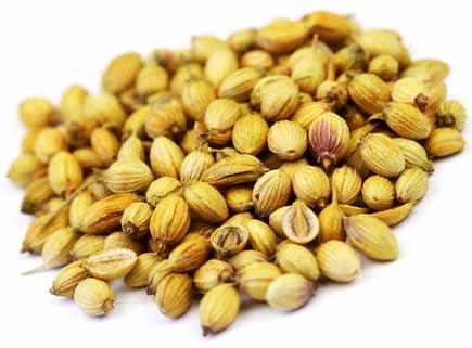 Coriander Seeds, Coriander Powder