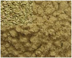 fennel powder