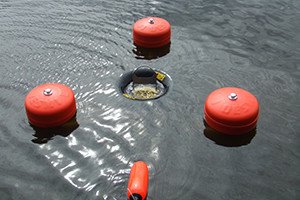 seaworthy oil skimming system