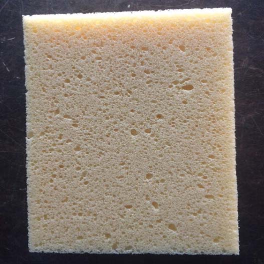 Imported Brick Sponge