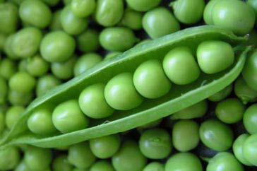 Fresh Green Peas